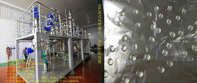祝賀國內(nèi)首套釜式連續(xù)加氫中試成套裝置一次出料成功！.jpg